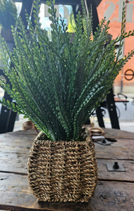 Fern in Seagrass Basket 43cm by Candlelight Products