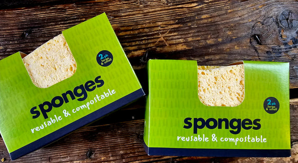 Compostable UK Sponge by ecoLiving